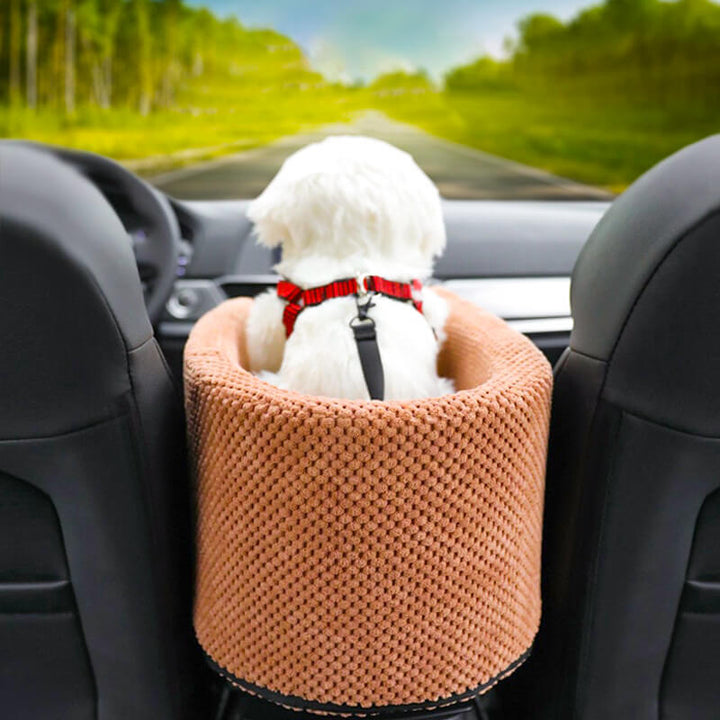 Best Puppy Car Seats