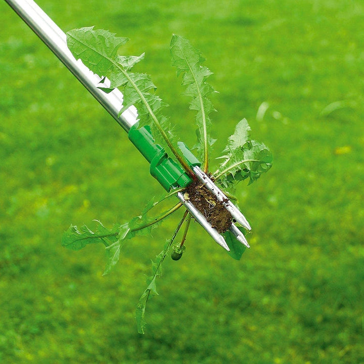 Root Remover Tool