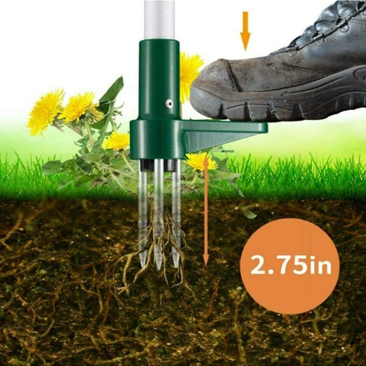Root Remover Tool
