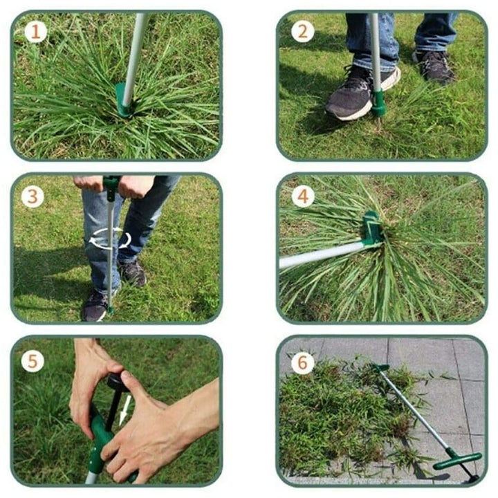 Root Remover Tool