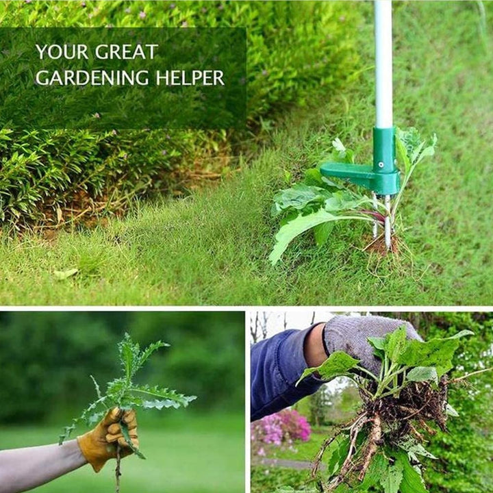 Root Remover Tool